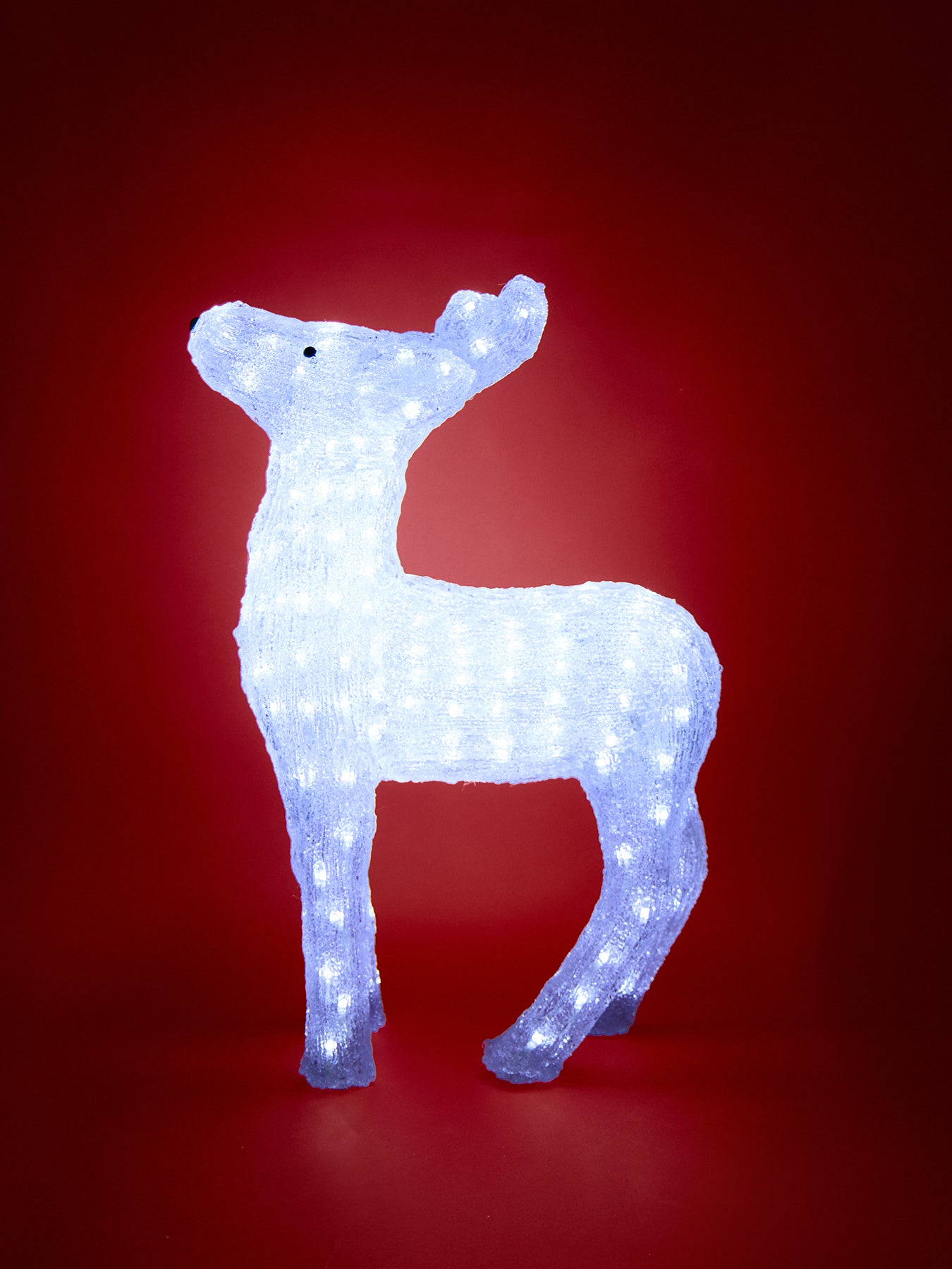 Acrylic Reindeer With White Led 60cm