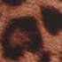 Textured Leopard