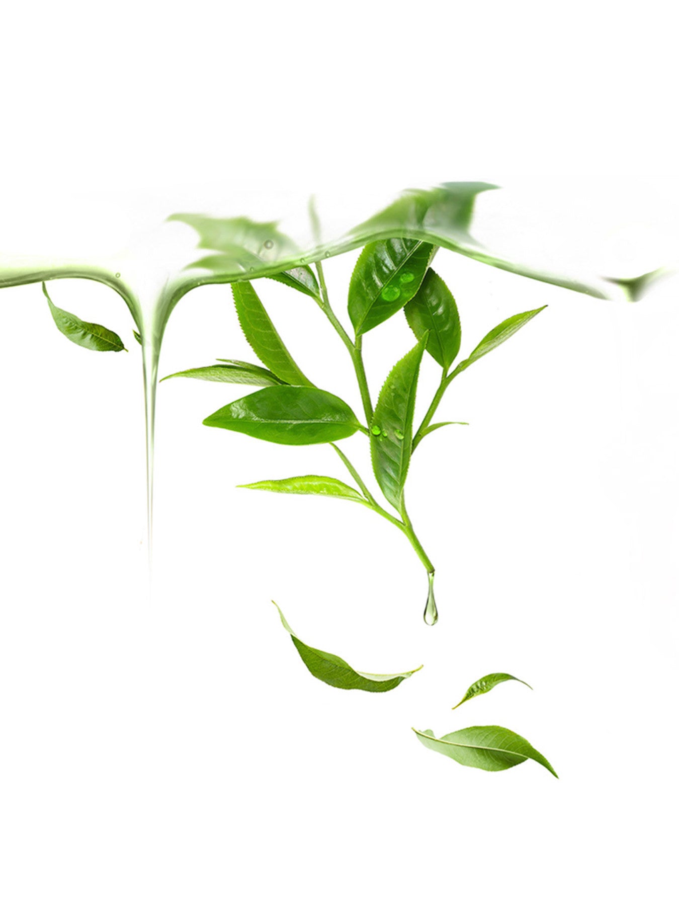 UFO Mask Farm To Face Green Tea x 6