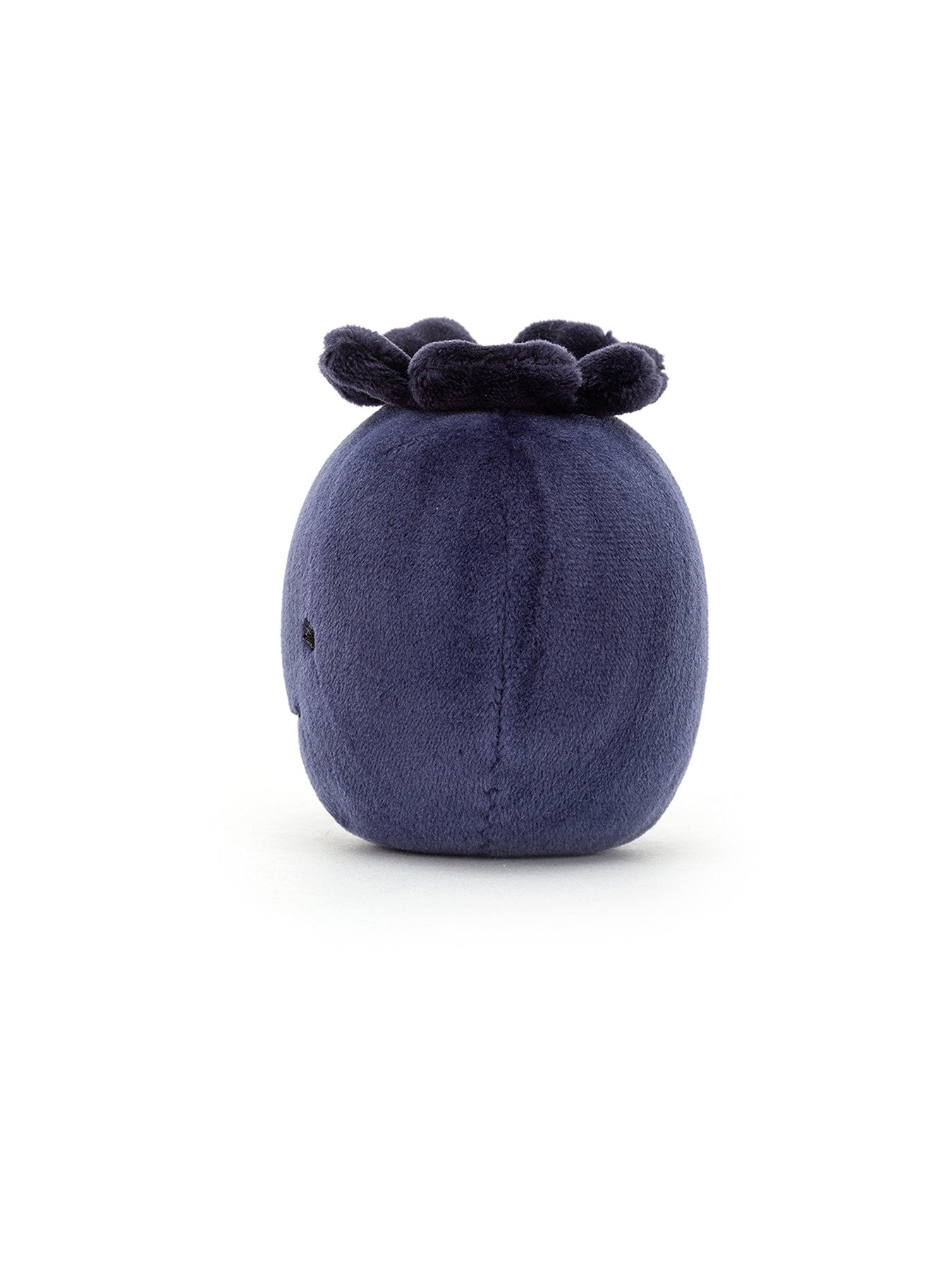 Fabulous Fruit Blueberry