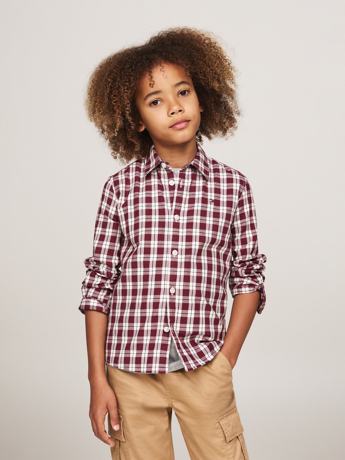 Small Check Regular Fit Shirt