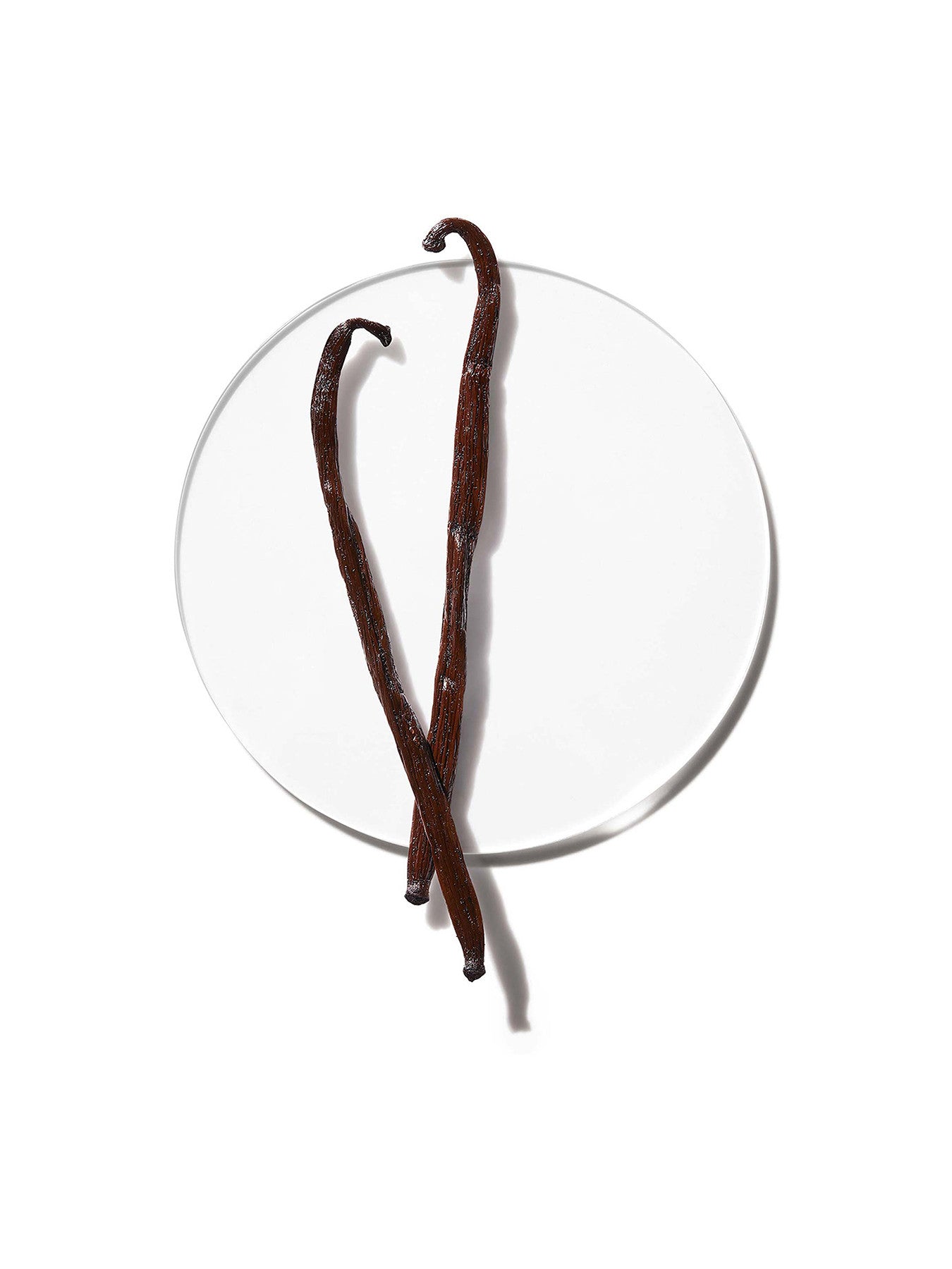 My Happy Cookies and Kisses