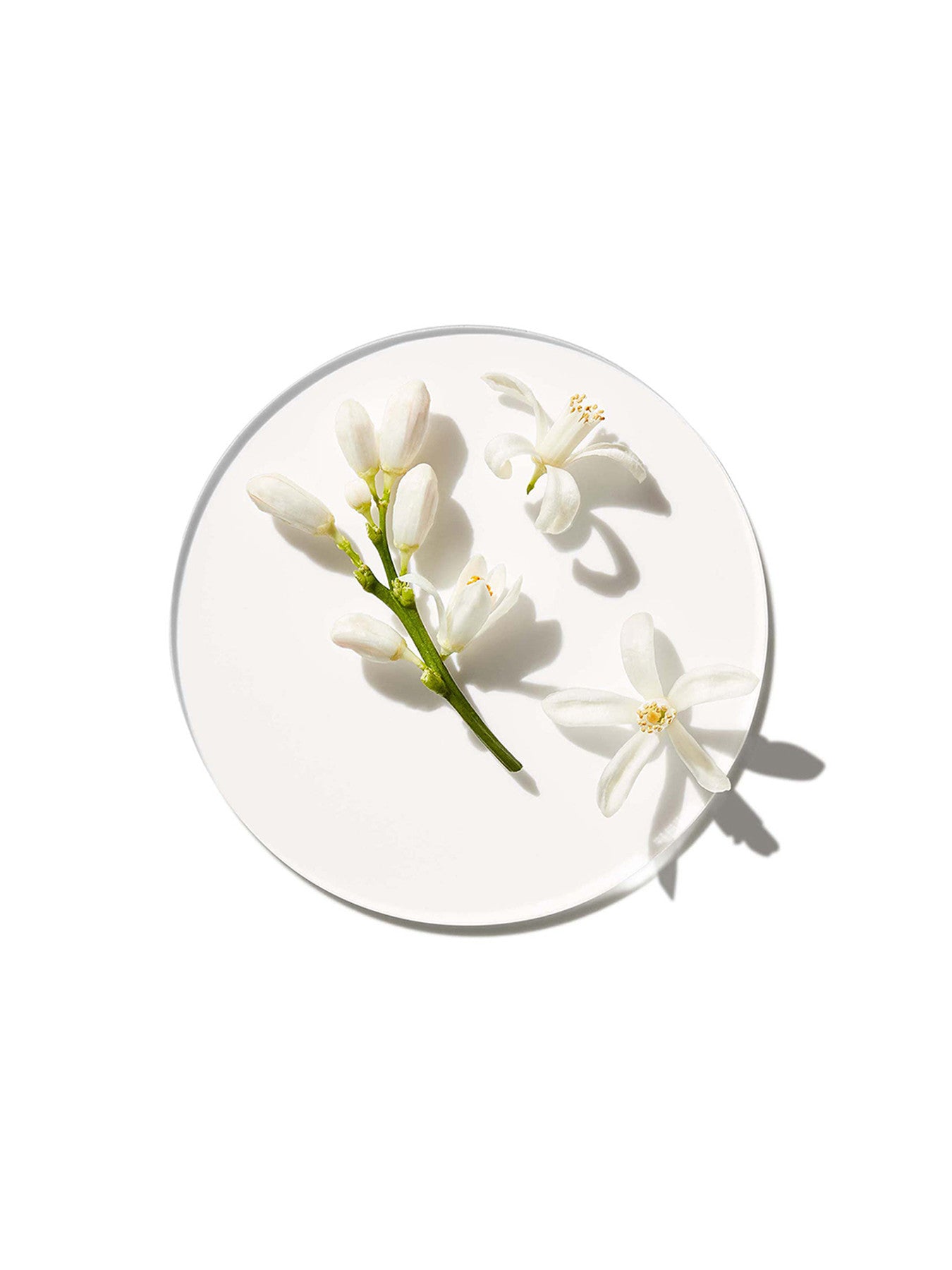 My Happy Baby Bouquet