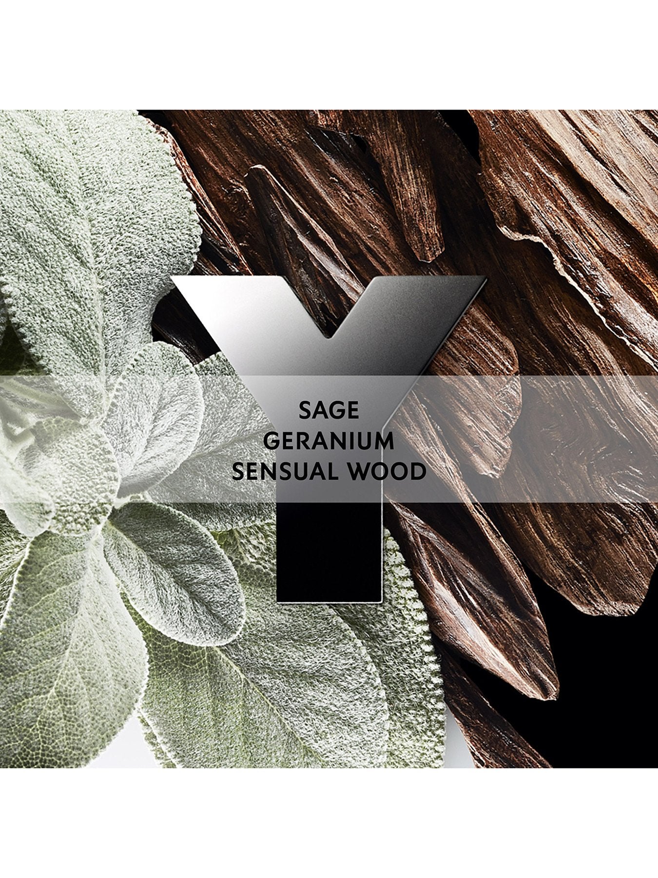 Y Men Eau de Parfum 200ml