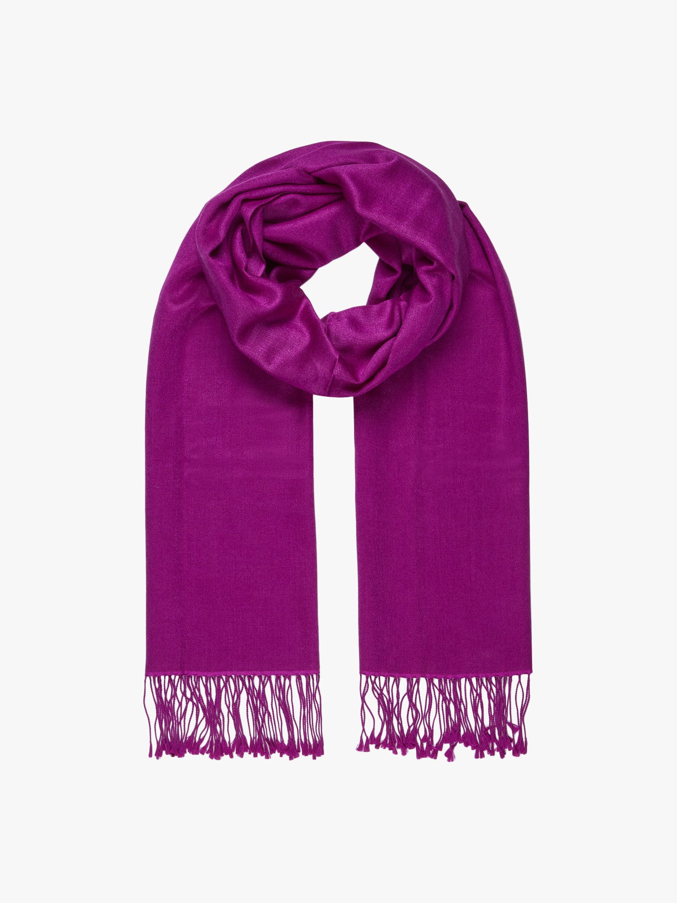Long Tassel Pashima Stole