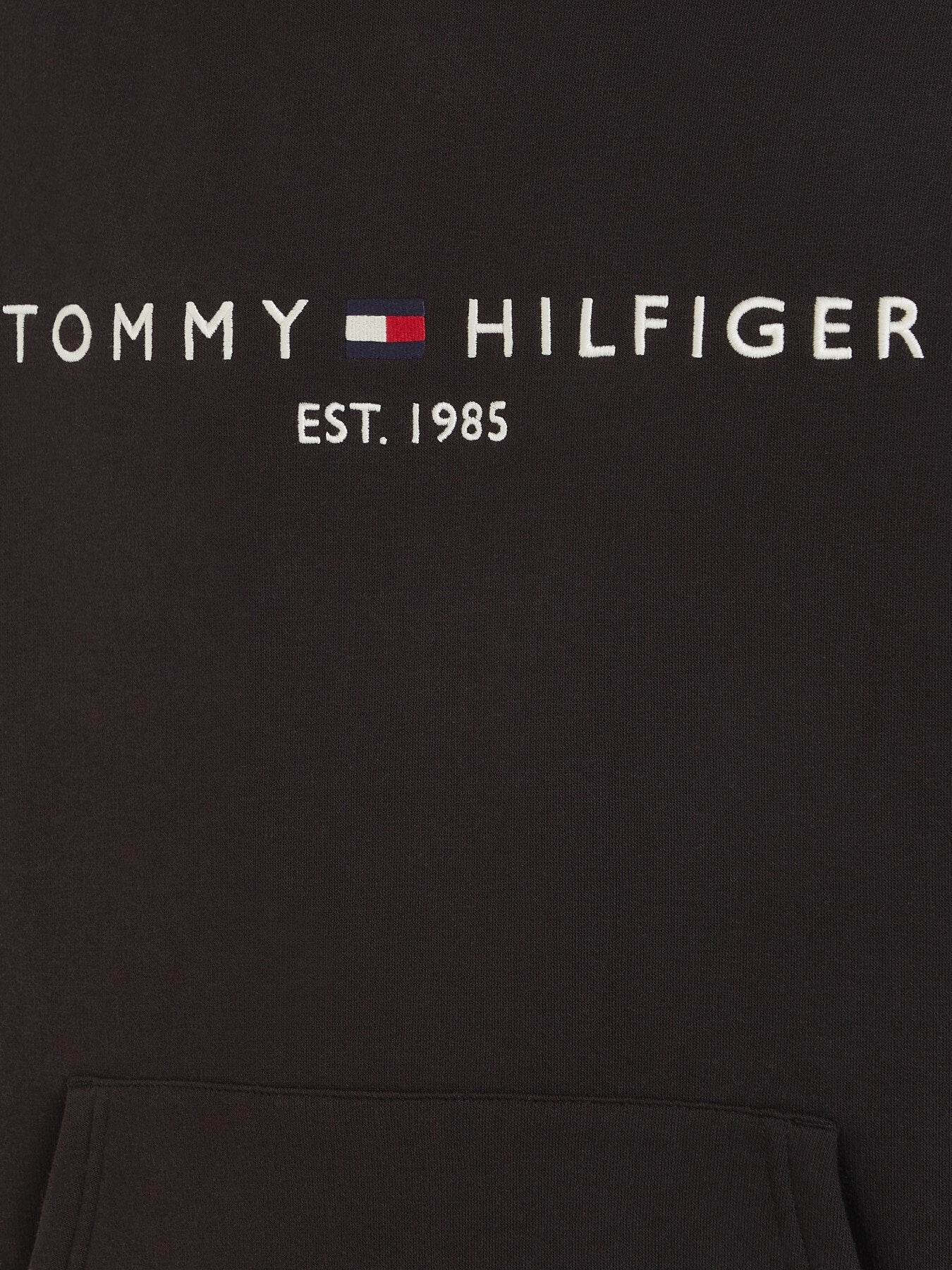 Core Tommy Logo Hoody