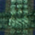 Poplar Green