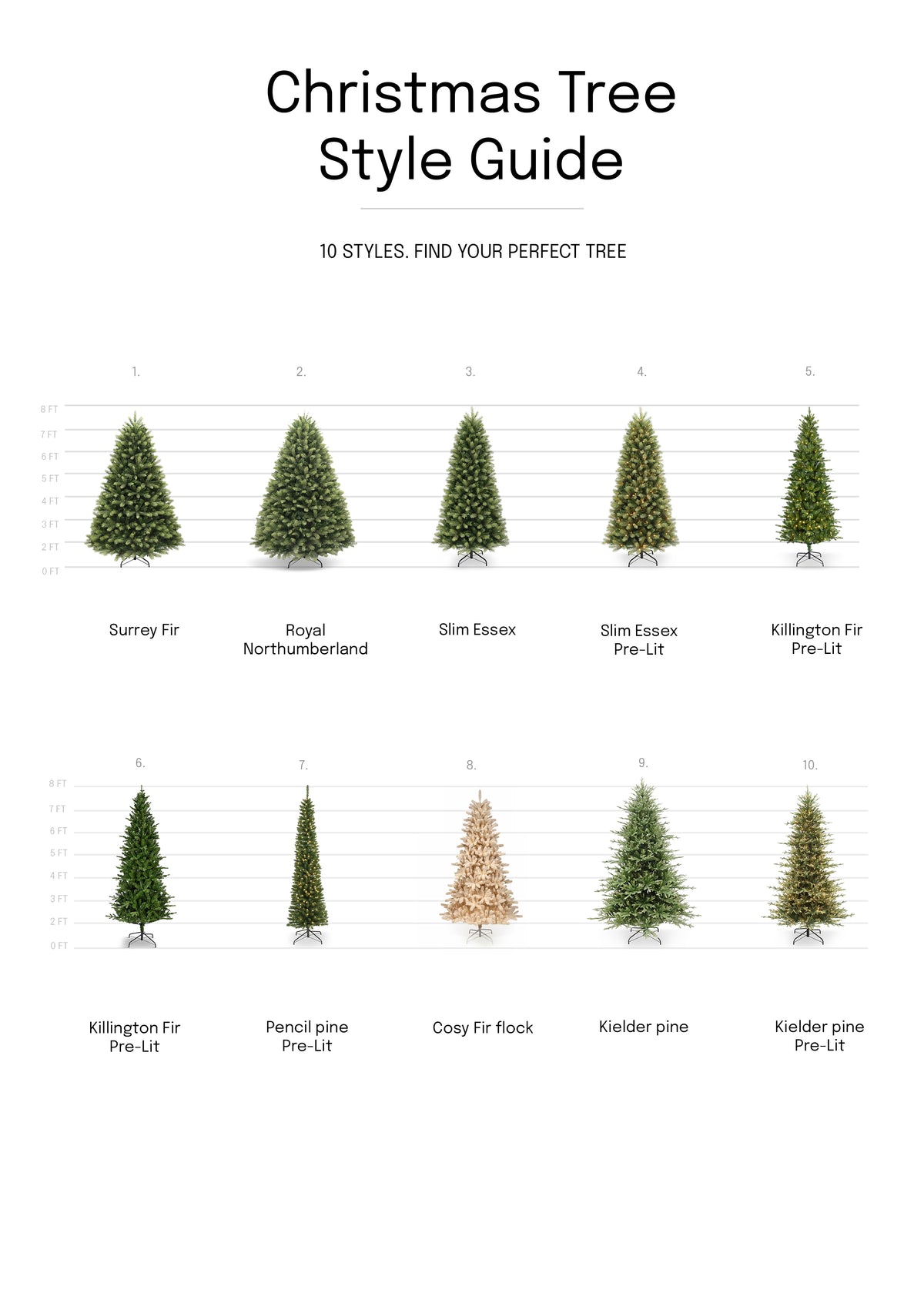 Royal Northumberland Fir Christmas Tree