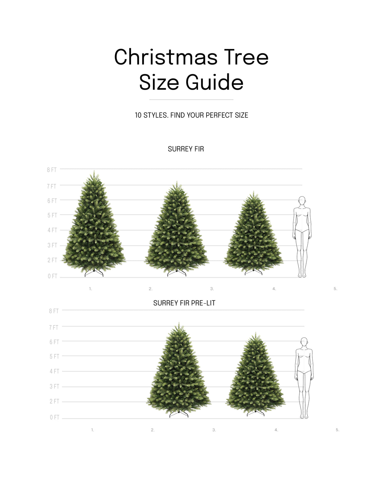 Surrey Fir Christmas Tree