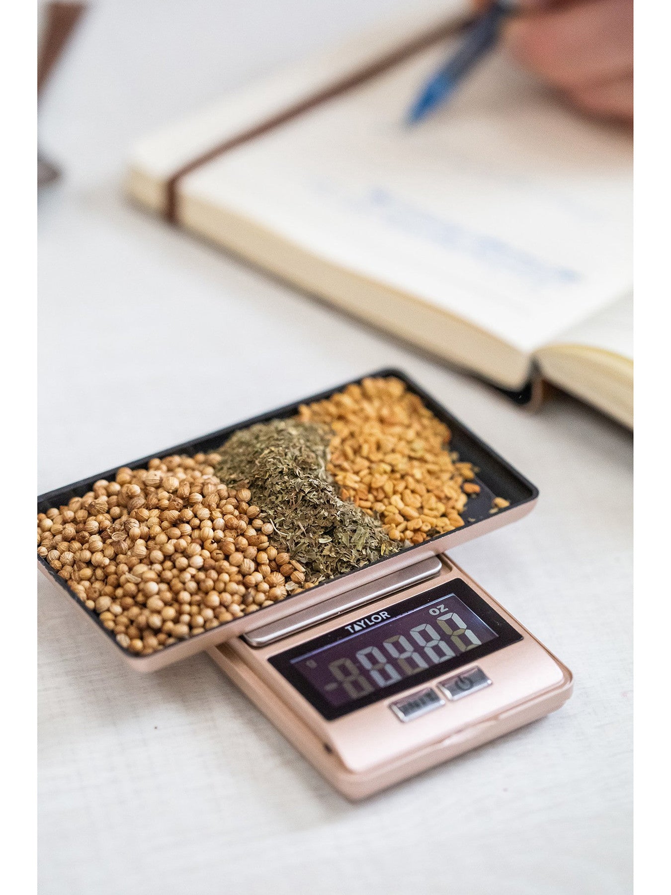 Taylor Pro Precision Kitchen Scale