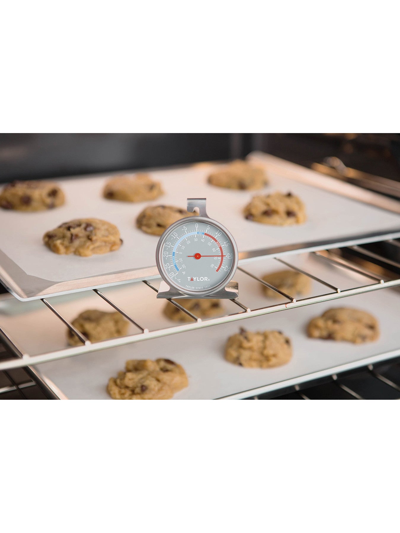 Taylor Pro Stainless Steel Freezer and Fridge Thermometer