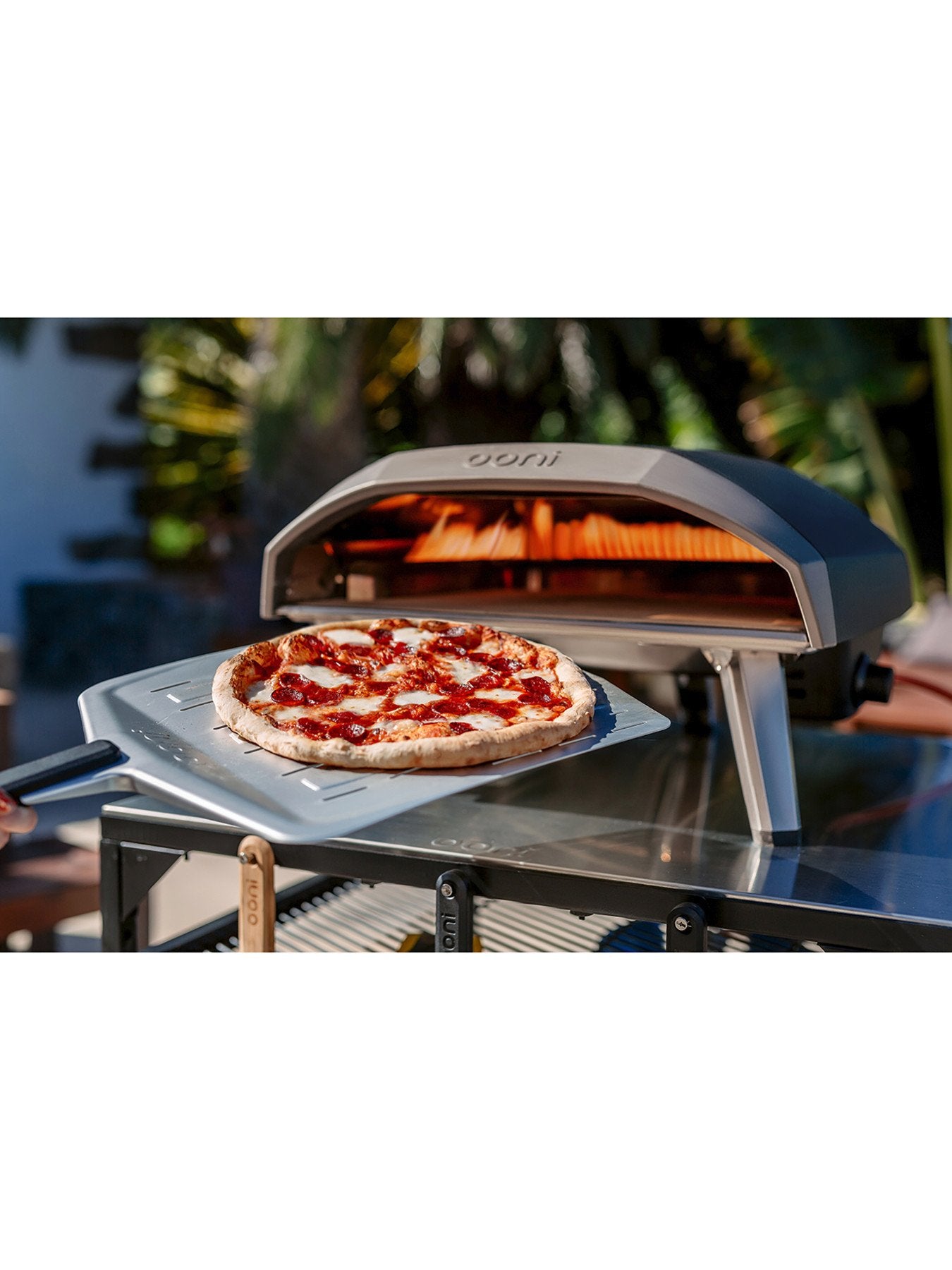Koda 16 Gas Powered Pizza Oven – Fenwick