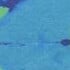 Cobalt