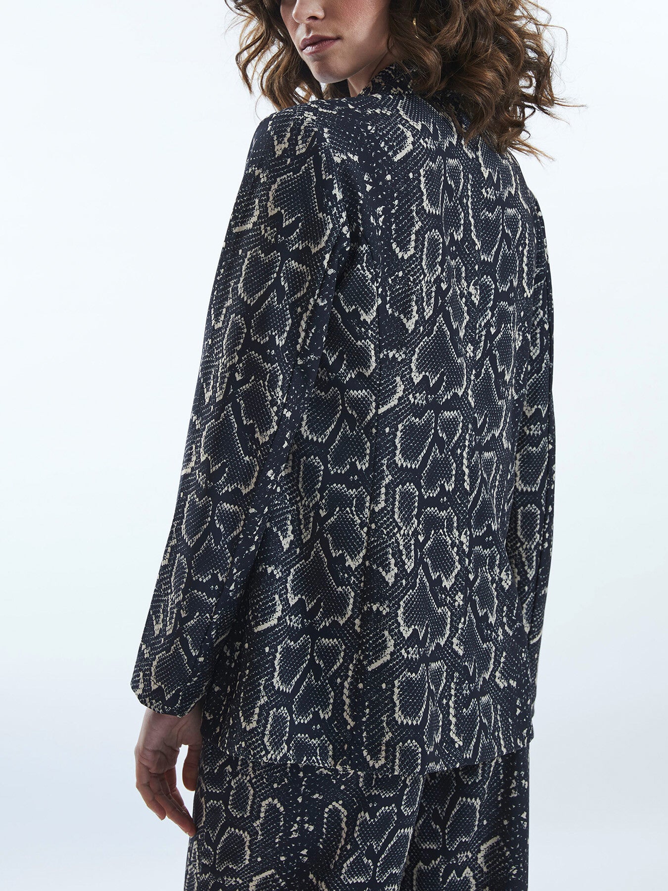 Python Print Blaser