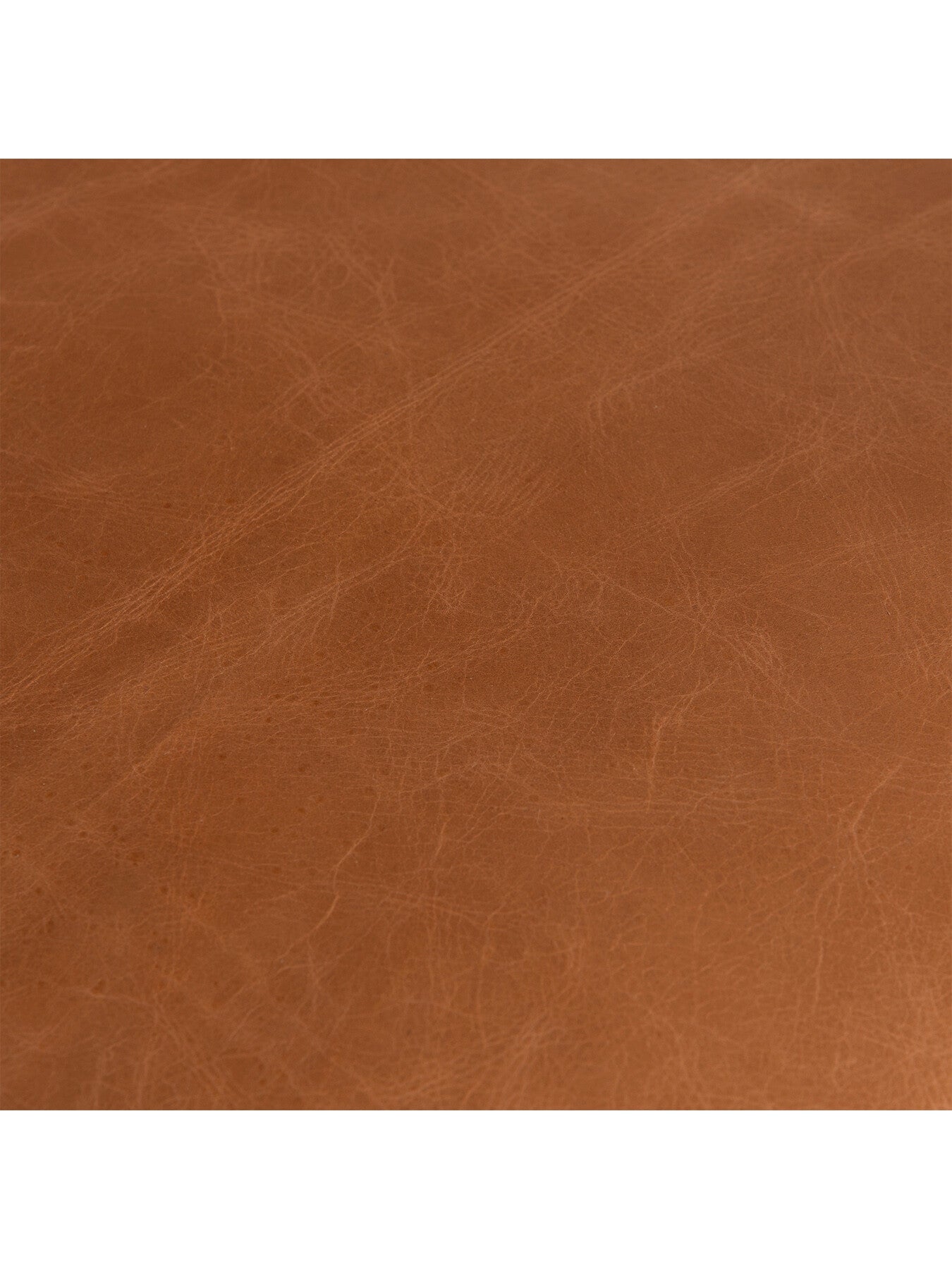 Dove Tan Brown Leather Dining Chair