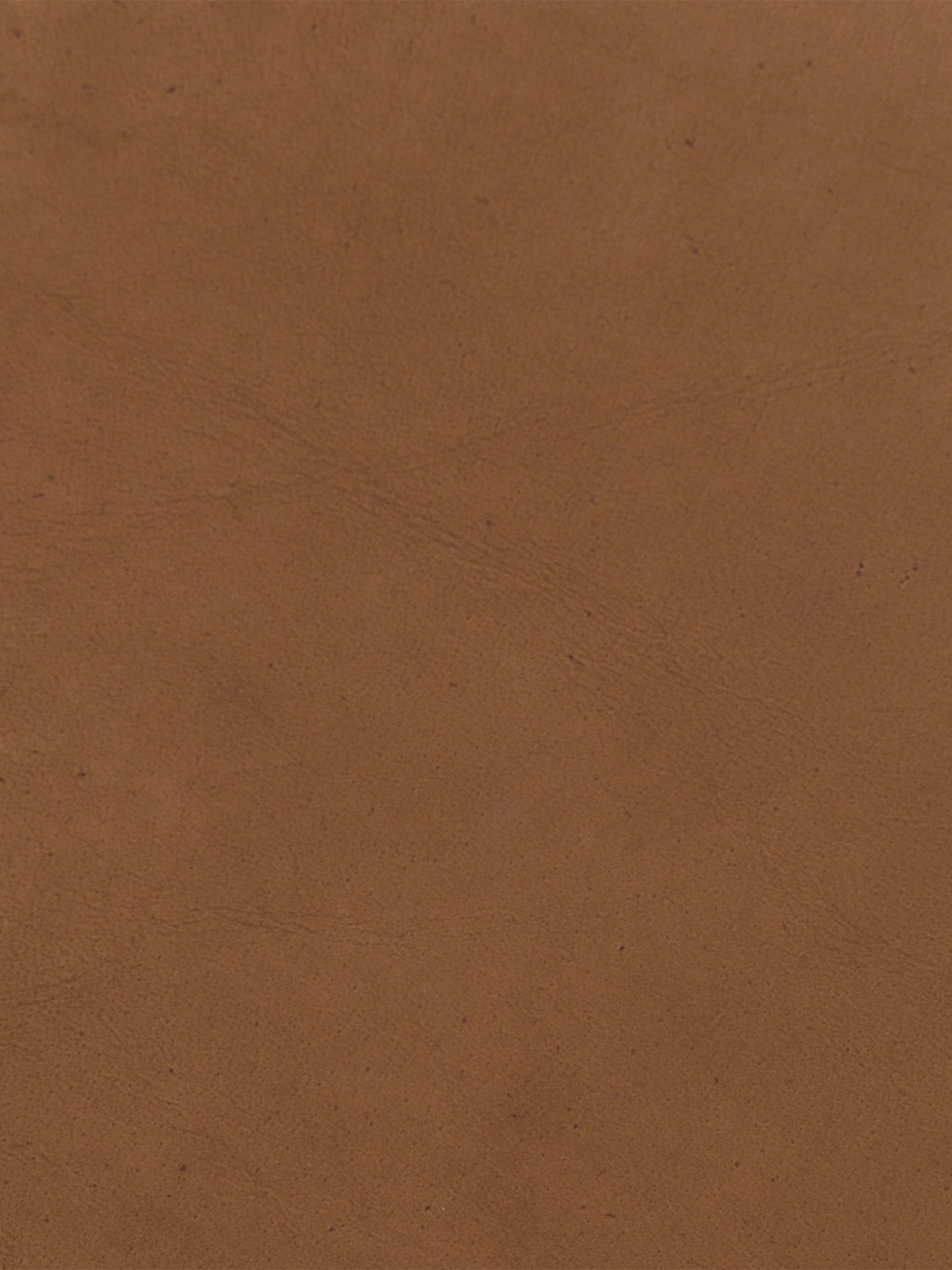 Nola Counter Stool, Light Olive and Br