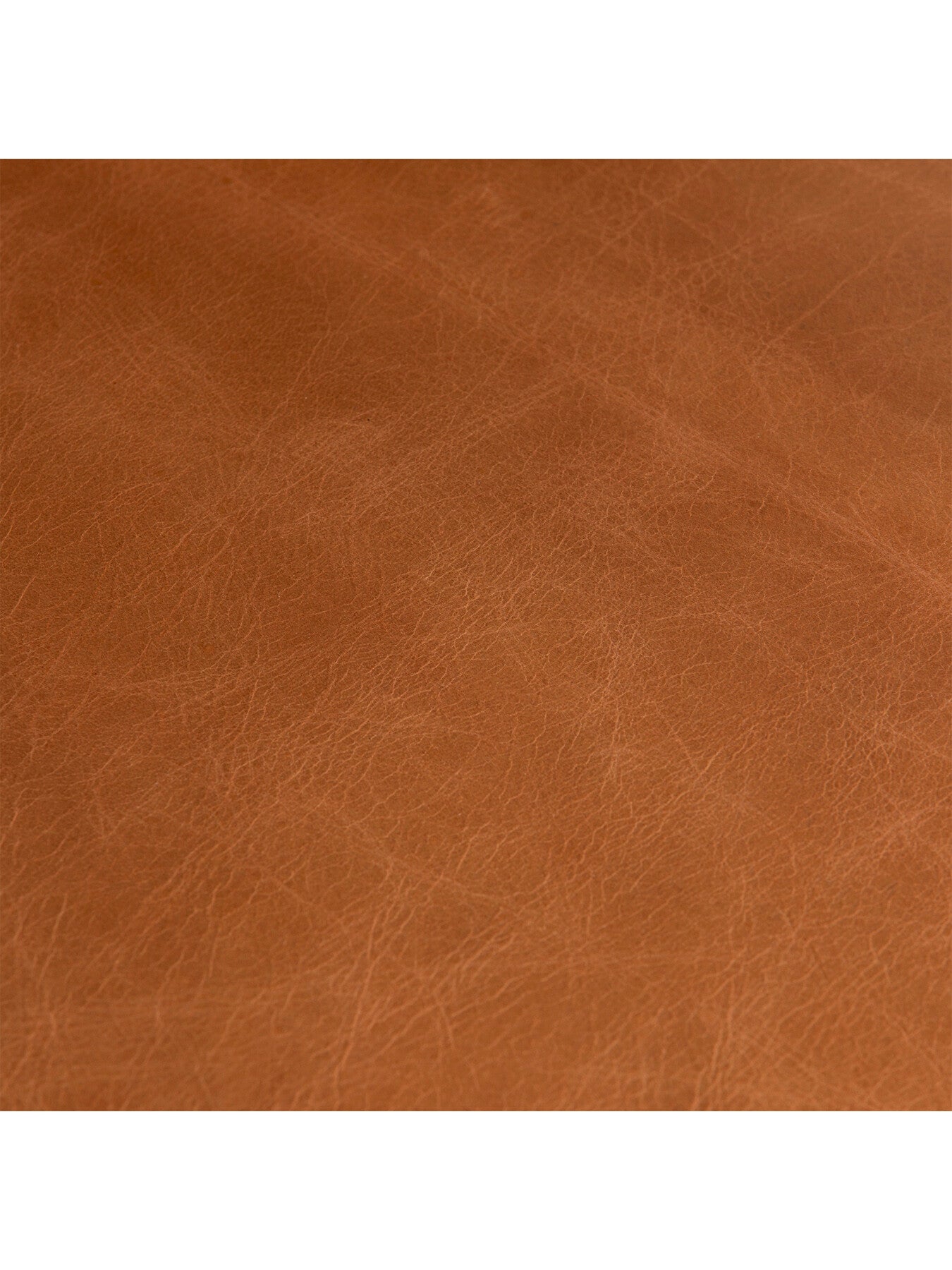 Rogan Tan Brown Leather Dining Chair