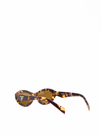 PR 26ZS Oval Slim Geometric Acetate Sunglasses