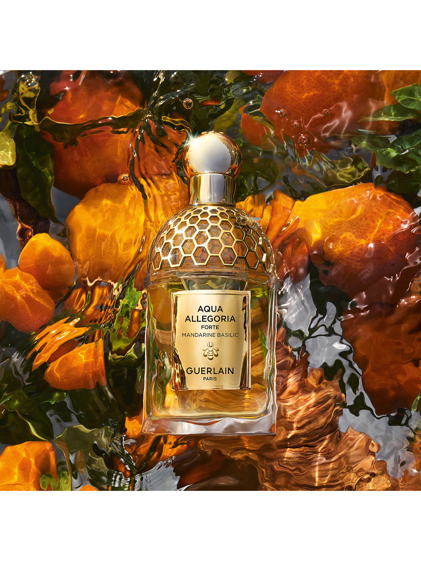Guerlain Aqua Allegoria Forte Mandarine Basilic Eau de Parfum 125ml |  Fenwick